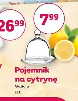 Bliski Pojemnik na cytrynę Galicja oferta