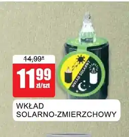 Bingo Wkład solarno-zmierzchowy oferta