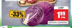 Bingo Kapusta czerwona oferta