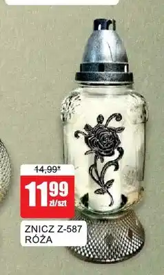 Bingo Znicz Z-587 Róża oferta