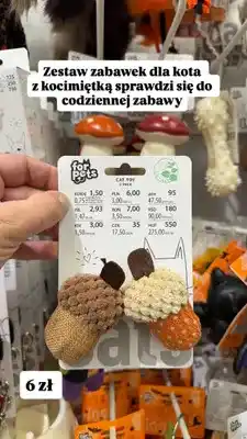 Pepco Zestaw zabawek dla kota For Pets z kocimiętką oferta