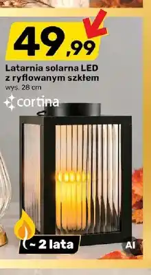 Bricomarche Latarnia solarna LED z ryflowanym szkłem wys. 28 cm Cortina oferta