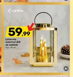 Bricomarche Latarnia solarna LED ze szkłem wys. 28 cm Cortina oferta