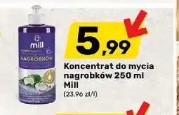 Bricomarche Koncentrat do mycia nagrobków Mill oferta