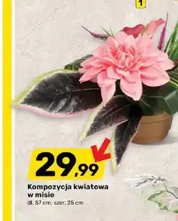 Bricomarche Kompozycja kwiatowa w misie oferta