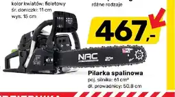 Bricomarche Pilarka spalinowa Nac oferta