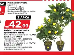 Bricomarche Kwiat sztuczny drzewko cytrynowe w donicy oferta