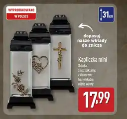 ALDI Znicz oferta