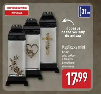 Znicz