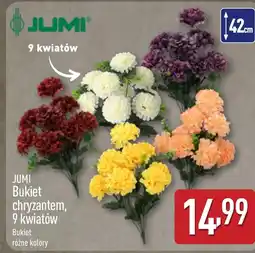 ALDI Chryzantema Jumi oferta