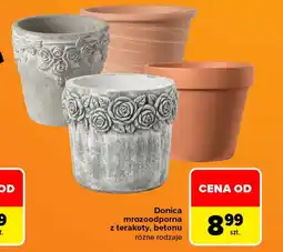 Carrefour Donica oferta