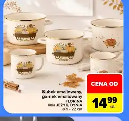 Carrefour Garnek Florina oferta