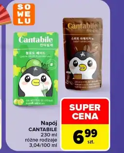 Carrefour Market Napój Cantabile oferta