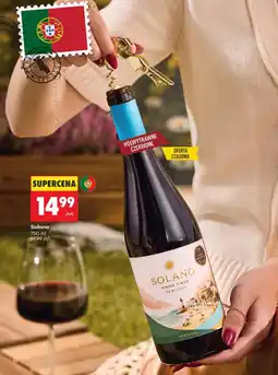Biedronka Wino półwytrawne Solano oferta