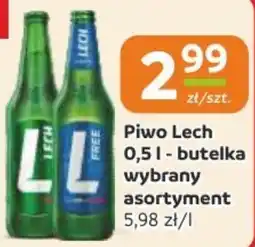 Gama Piwo Lech oferta