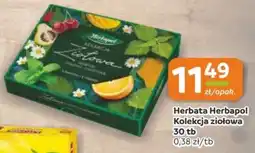 Gama Herbata Herbapol Kolekcja ziołowa oferta