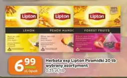 Gama Herbata exp Lipton Piramidki oferta