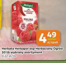 Gama Herbata Herbapol Herbaciany Ogród Malina oferta