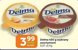Gama Delma wybrany asortyment oferta