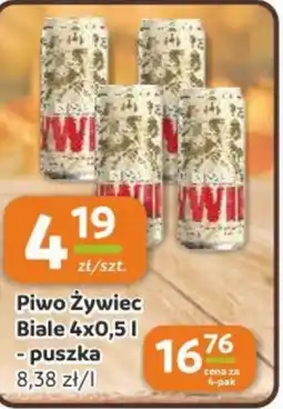 Gama Piwo Żywiec Biale oferta