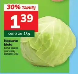 Hitpol Kapusta biała oferta
