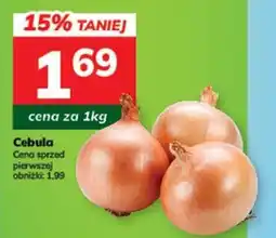 Hitpol Cebula oferta