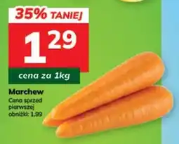 Hitpol Marchew oferta
