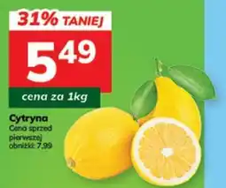 Hitpol Cytryna oferta