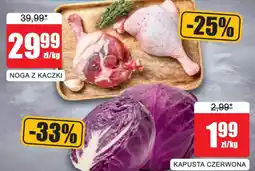 Bingo NOGA Z KACZKI oferta