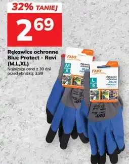 Hitpol Rękawice ochronne Blue Protect - Ravi oferta