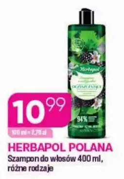 Koliber drogerie Szampon do włosów HERBAPOL POLANA oferta