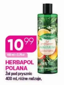Koliber drogerie Żel pod prysznic Herbapol Polana oferta