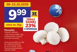 Hitpol Pieczarka oferta
