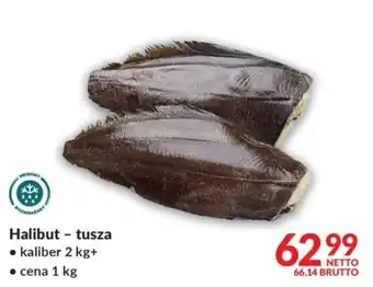 Halibut - tusza