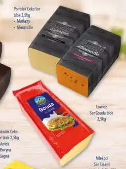 DUO-TES Ser Gouda blok oferta