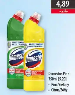 DUO-TES Domestos Pine oferta