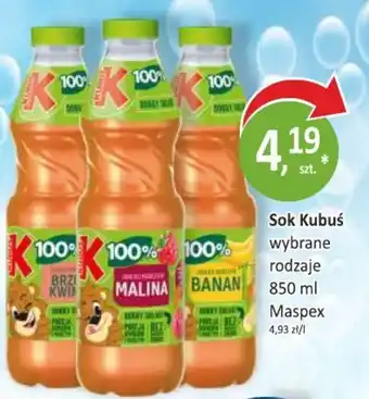 Sok Kubuś