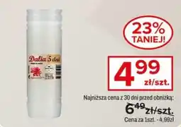 Vobiano Dalia 5 dni oferta