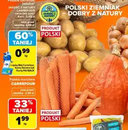 Carrefour Market Polska marchew CARREFOUR oferta