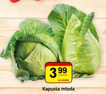 Gram Market Kapusta młoda 1szt. oferta