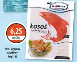 DUO-TES Łosoś sałatkowy Koral oferta