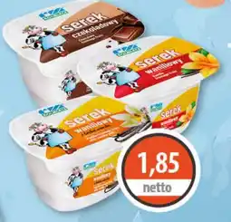 DUO-TES Serek waniliowy oferta