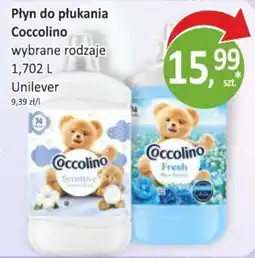 Passa Płyn do płukania Coccolino oferta