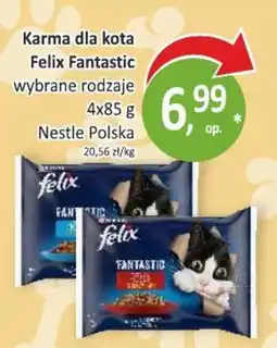 Passa Karma dla kota Felix Fantastic wybrane rodzaje oferta