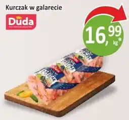 Passa Kurczak w galarecie Duda oferta