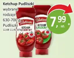 Passa Ketchup Pudliszki oferta