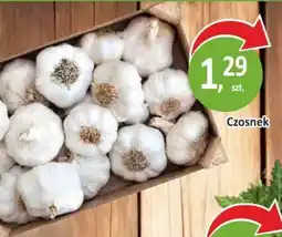 Passa Czosnek oferta