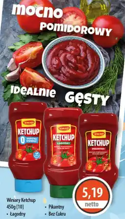 DUO-TES Winiary Ketchup oferta