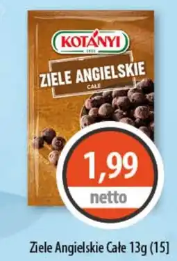 DUO-TES Ziele Angielskie Cale oferta
