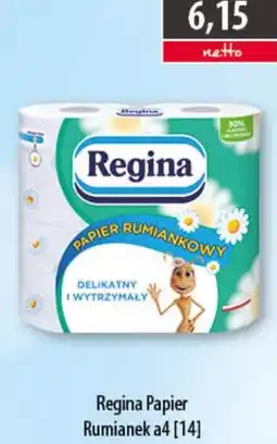 DUO-TES Regina Papier Rumiangek a4 oferta